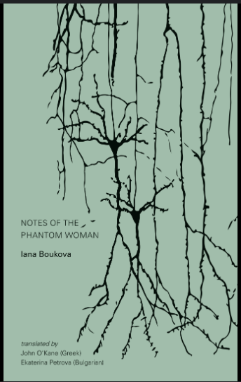 File:Cover of Notes of a Phantom Woman.png