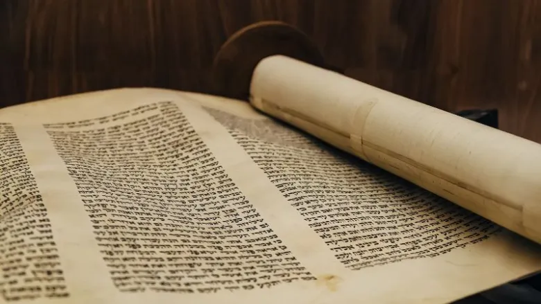 File:Binding 3 wiki -3.webp